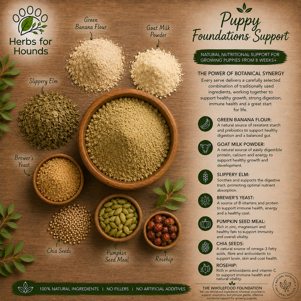 Puppy Foundations Support
